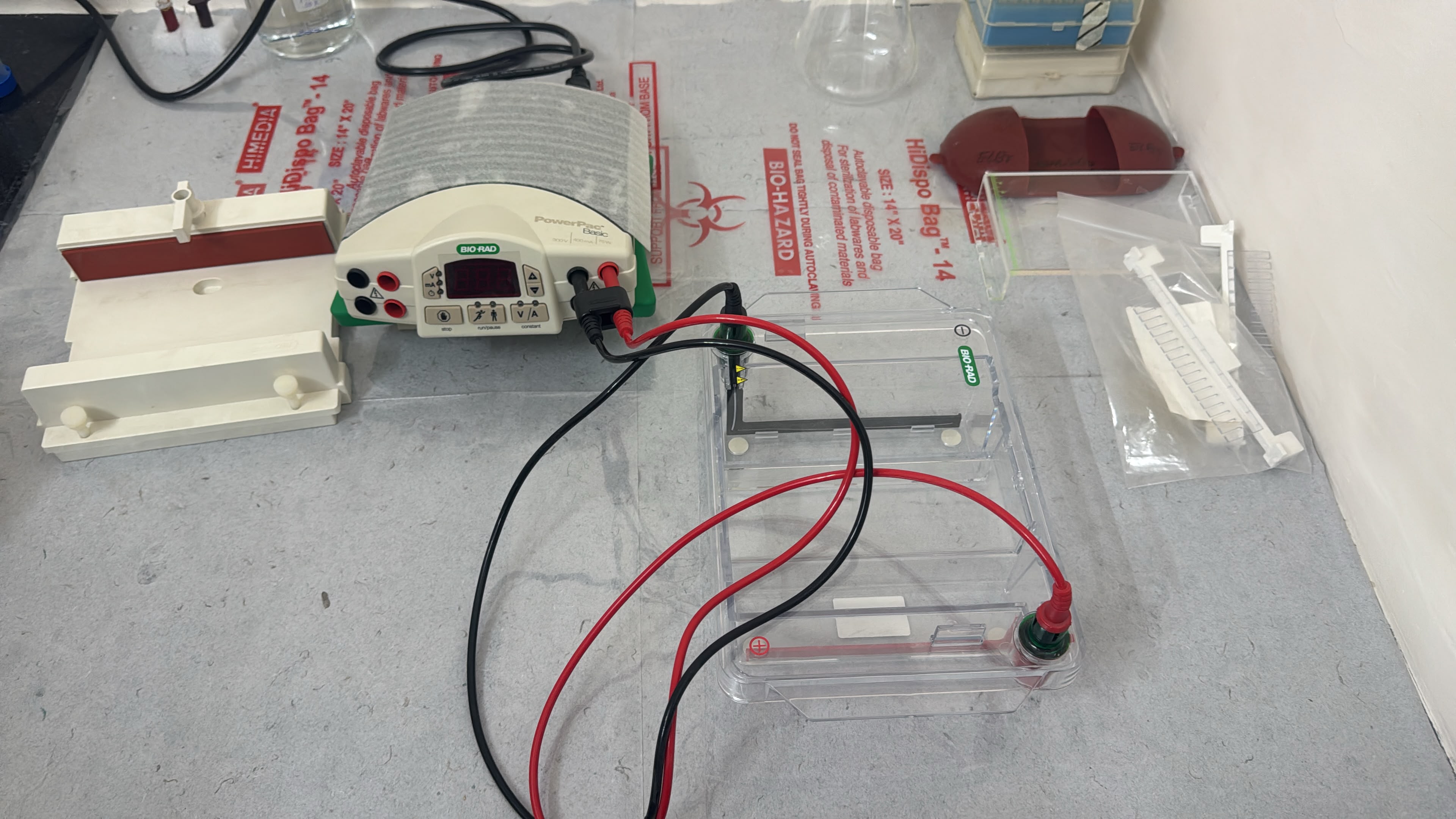 Gel Electrophoresis Unit