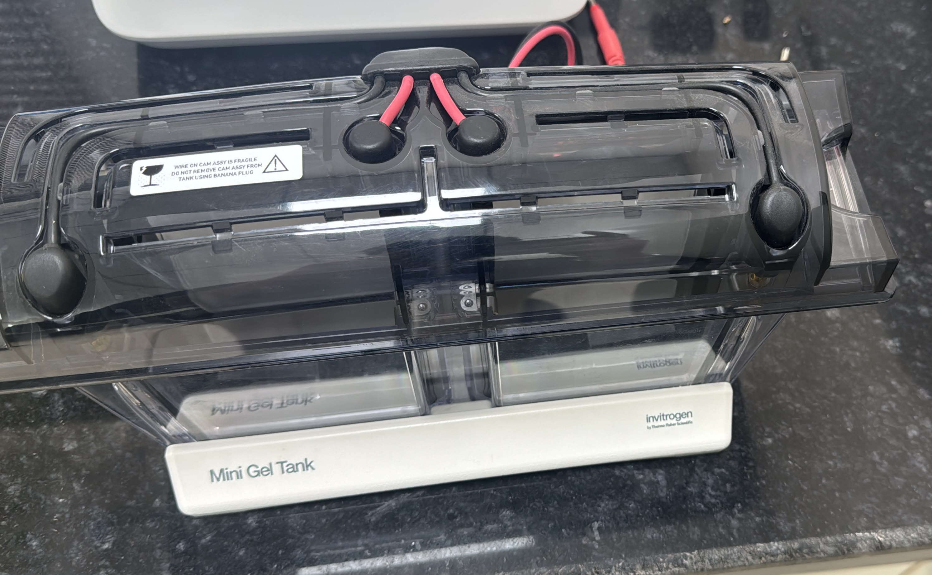 Western Blot Apparatus