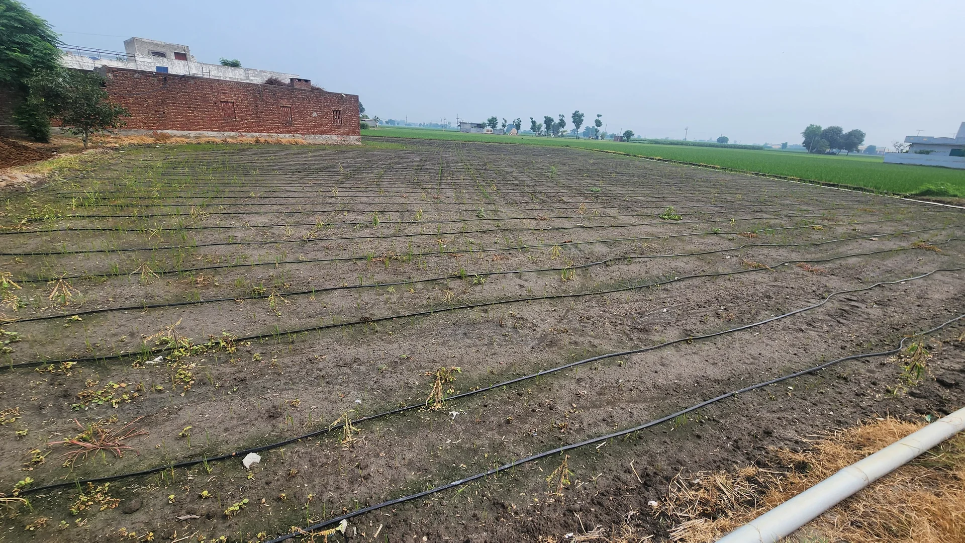 Field research and collaboration at T2PCEFS