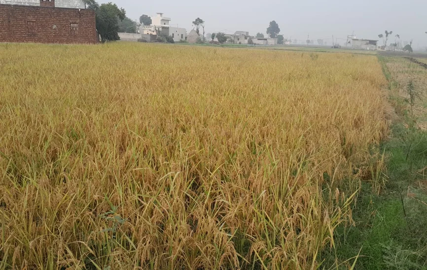 Digital Village Setup