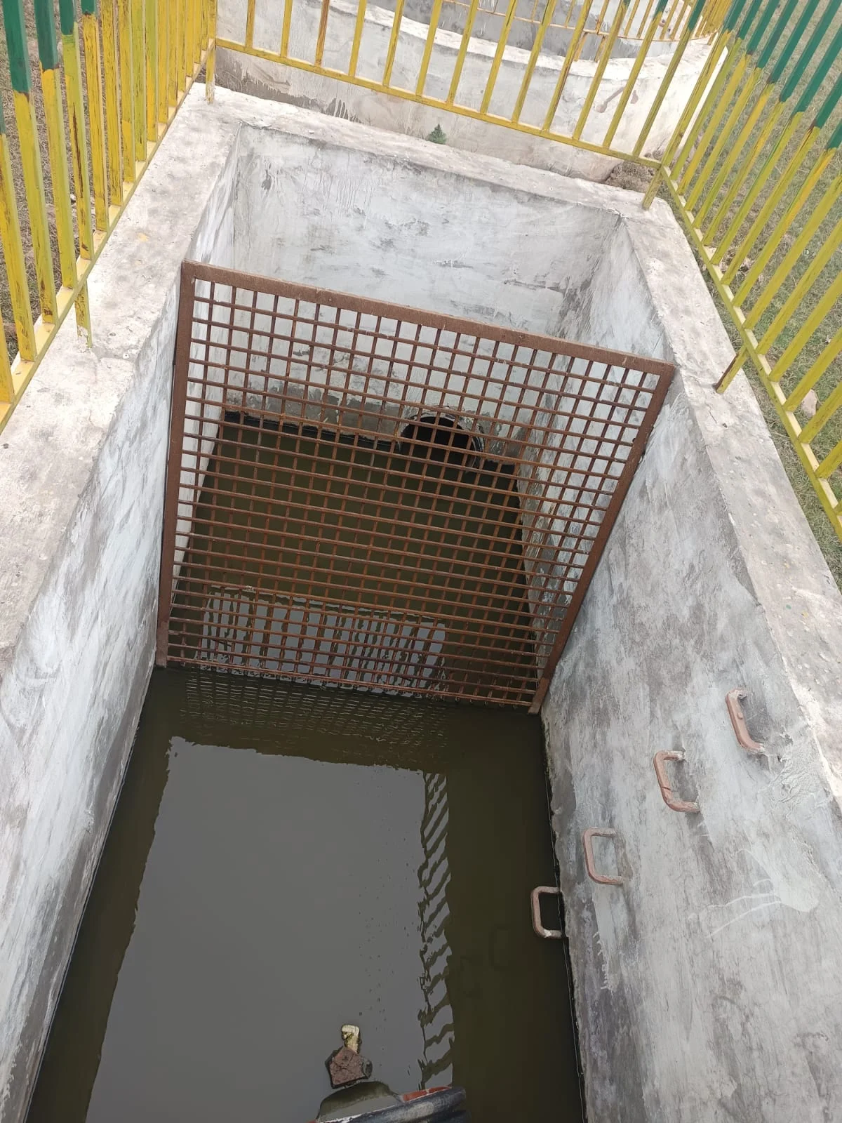 Thapar Model Overview