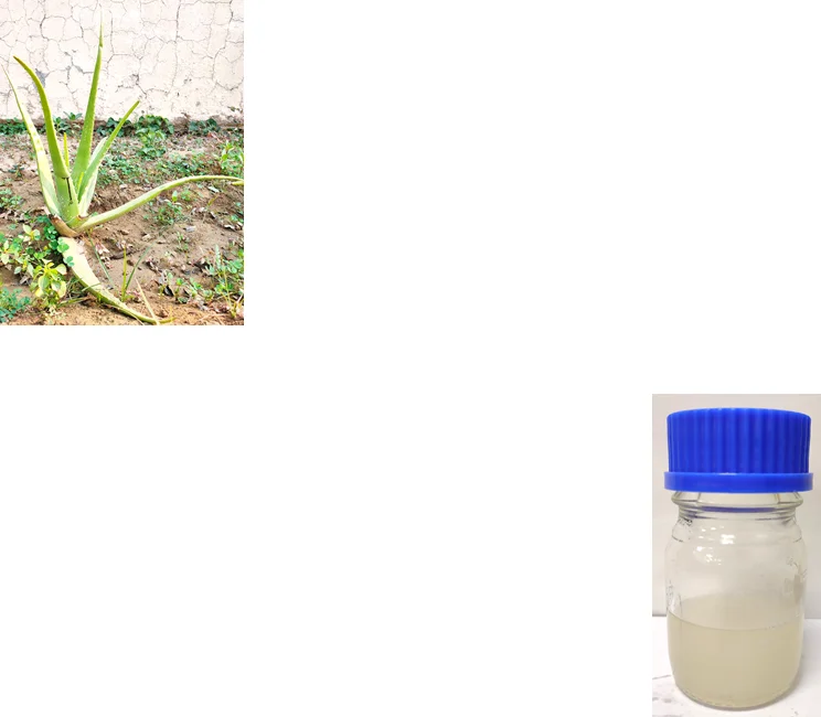 Green Synthesis Coatings