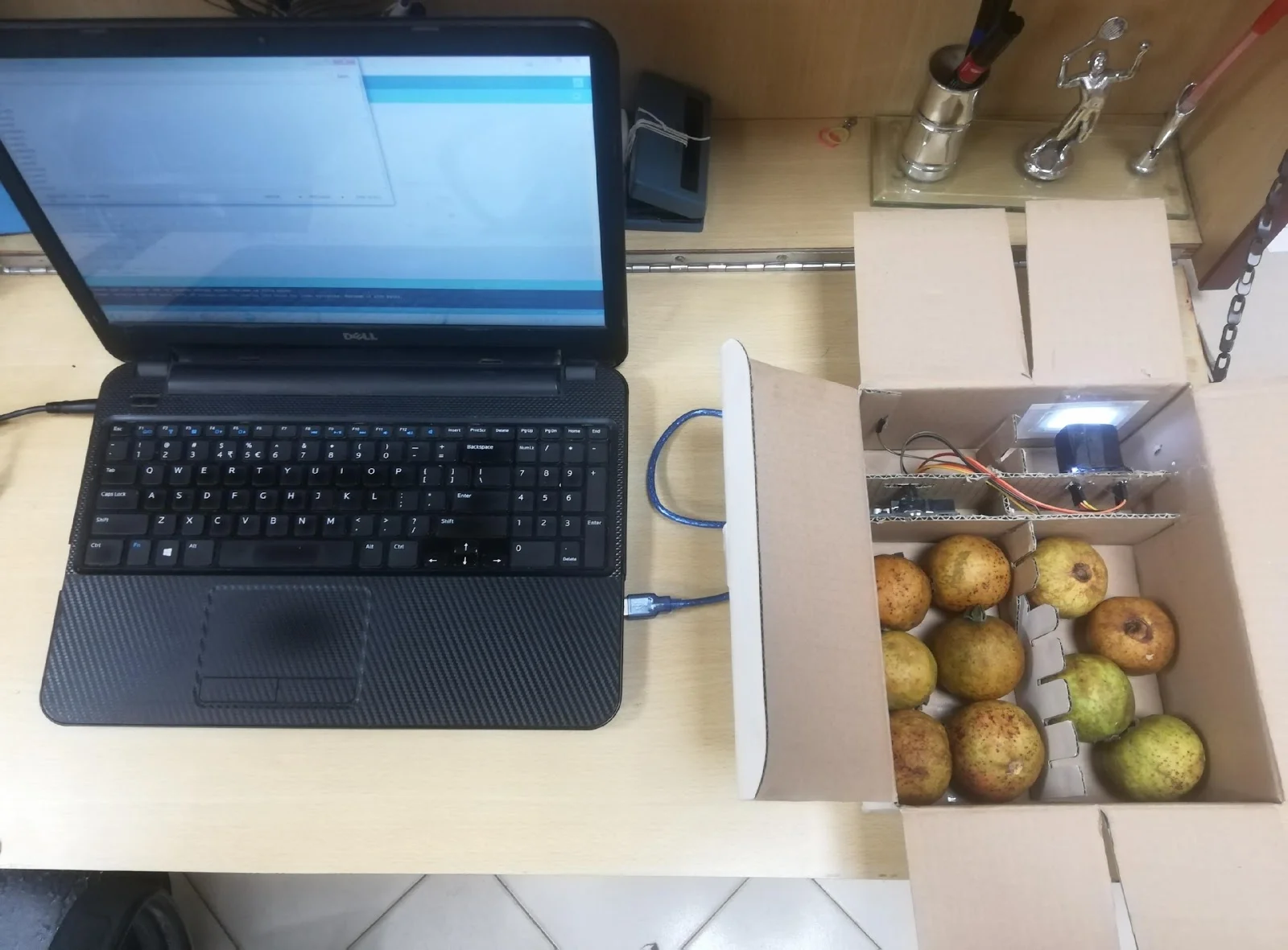 Novel Guava-based Probiotic Food Products